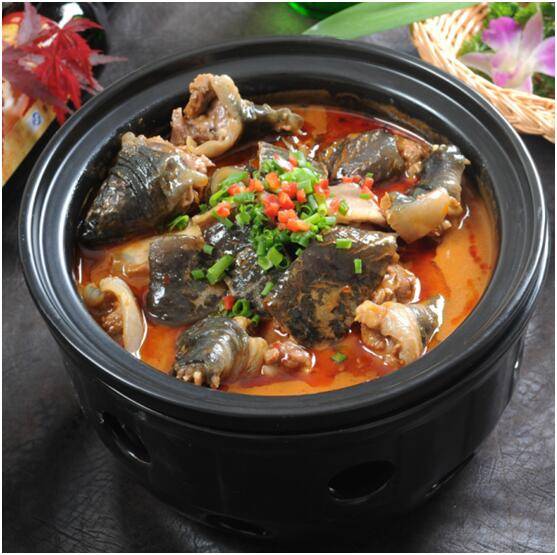 王文伟中国烹饪大师作品集红汤甲鱼-越王东坡鸡_萧山区_杭州_餐饮业