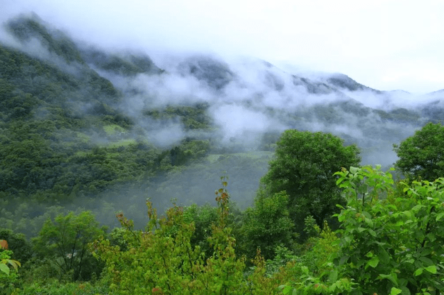 陕西有个自然景区走红，风景可与九寨沟媲美，却很少有人知道