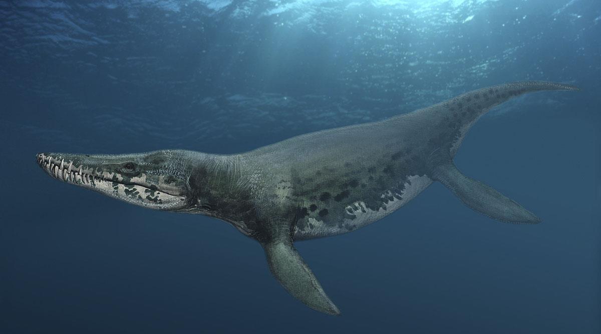 原创史前最危险的生物都有哪些呢霸王龙可能只能垫底