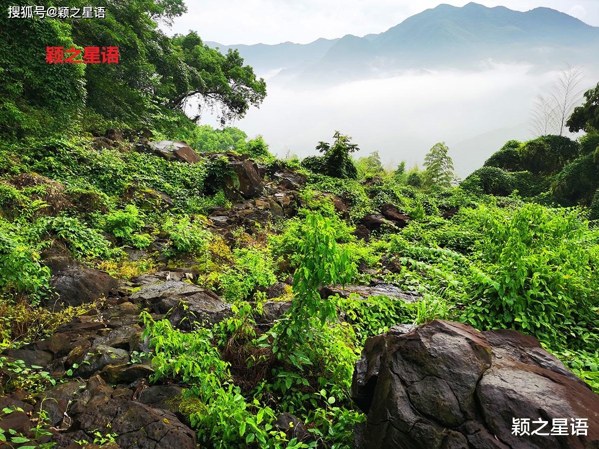 宁海峰山村，冰川石浪，还有古树群