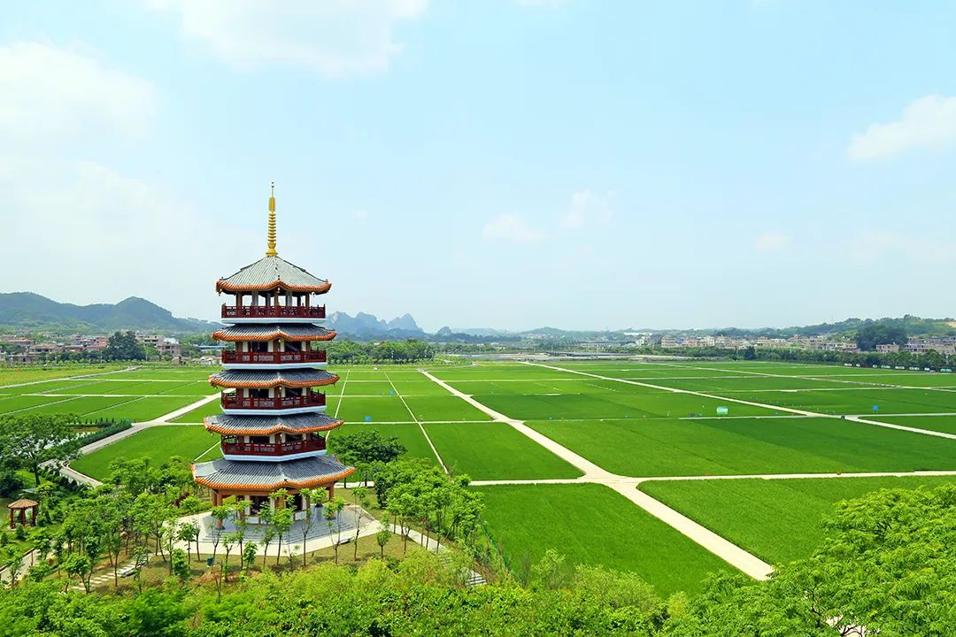 叶蓝谦_李江慧_叶蓝泽