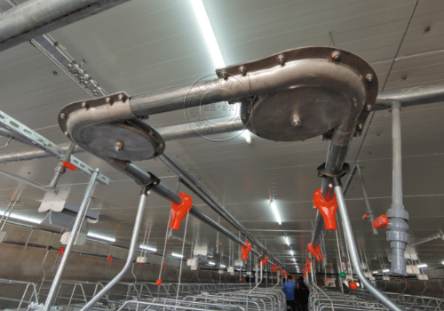 猪场料线常见故障及解决方法,早掌握早受益!