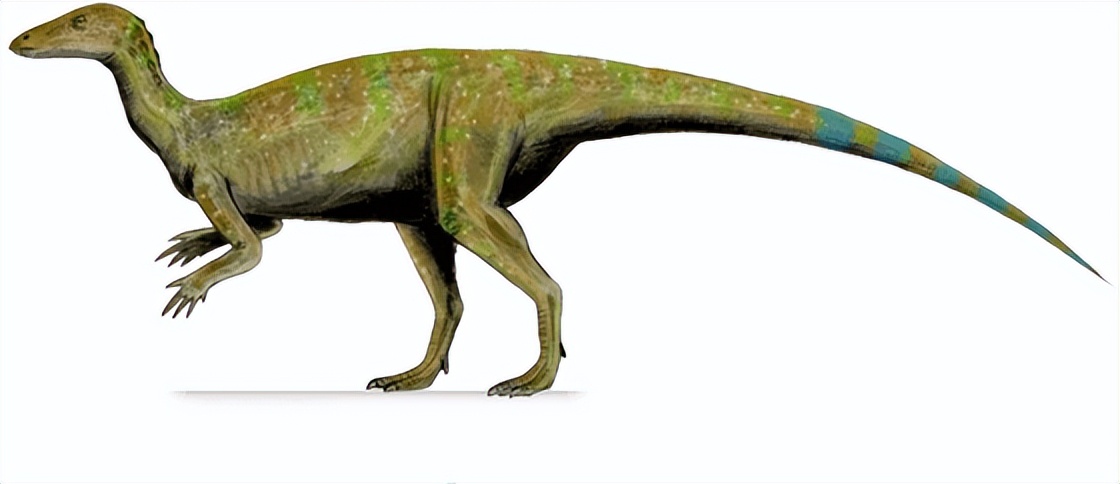 无毛版奇异龙有毛版奇异龙据说有人吃过从西伯利亚冻土里挖出来的约1