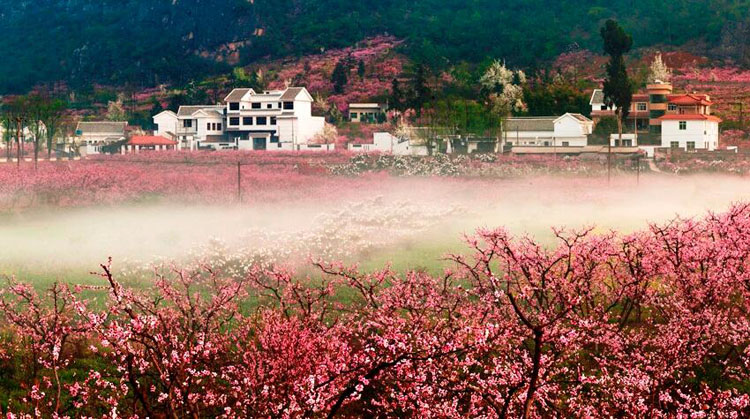 安阳桃花谷拓展训练基地