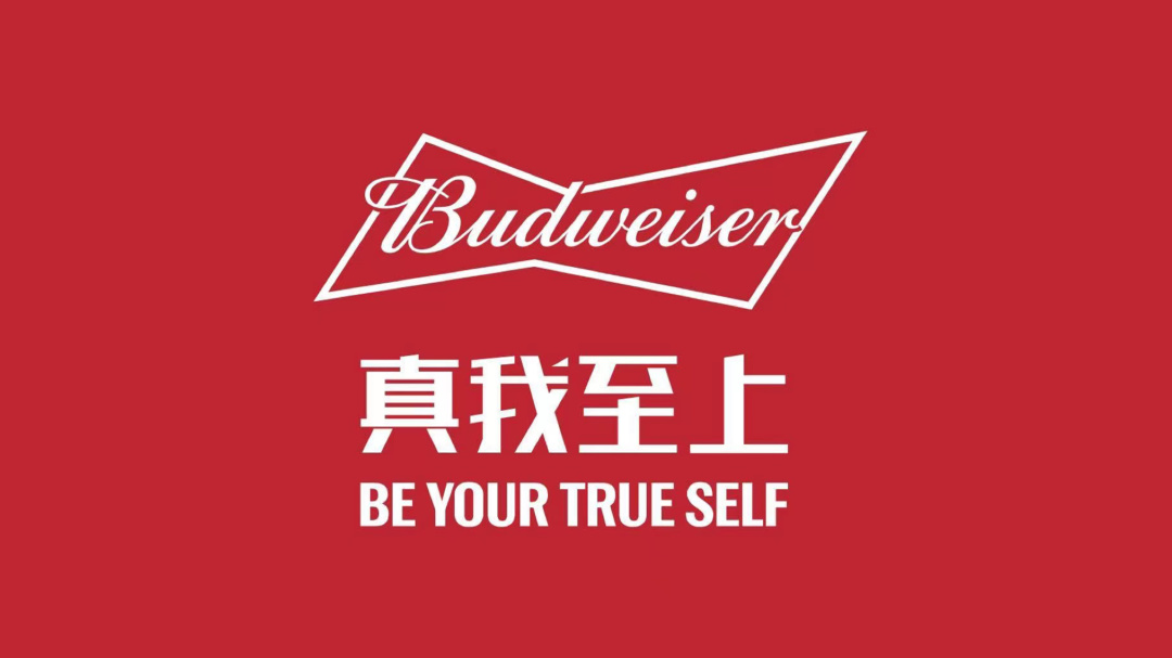普普文化入选百威全品类供应商!