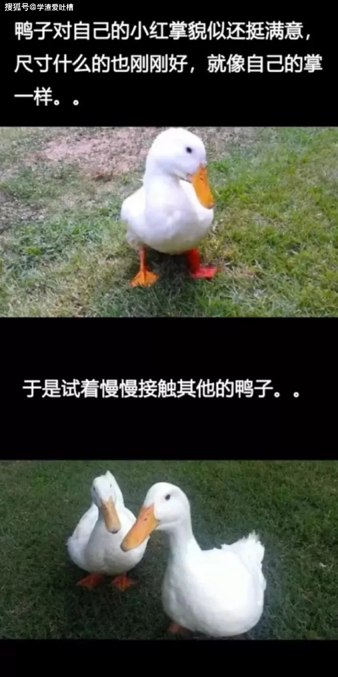 “以为你们在开车…对不起,原谅我第一眼想歪了!”