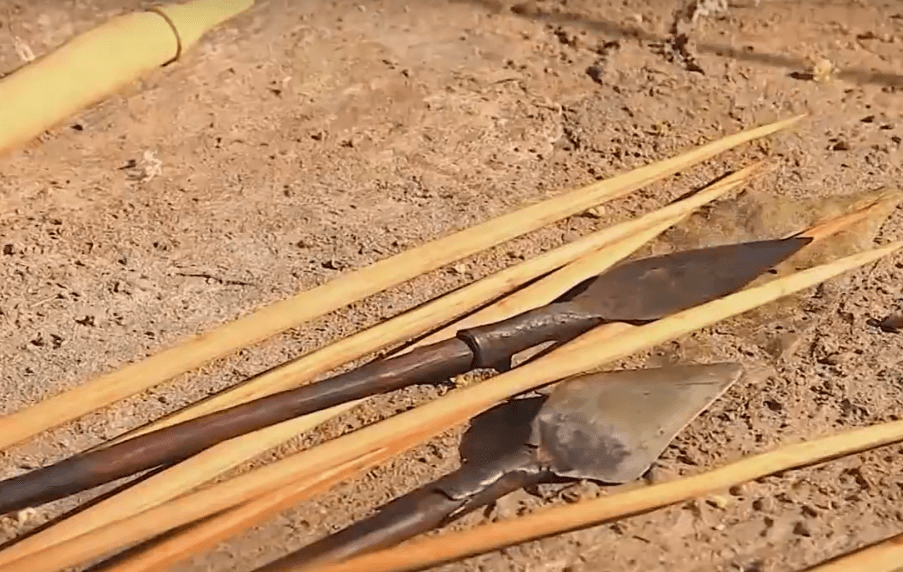 男人们在外出捕猎时,往往会在武器的尖端涂抹好他们自制的麻醉药,甚至