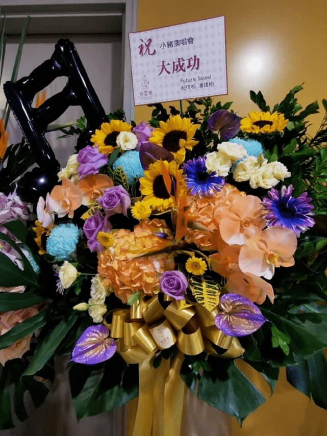 罗志祥成功复出,演唱会一万张门票售罄