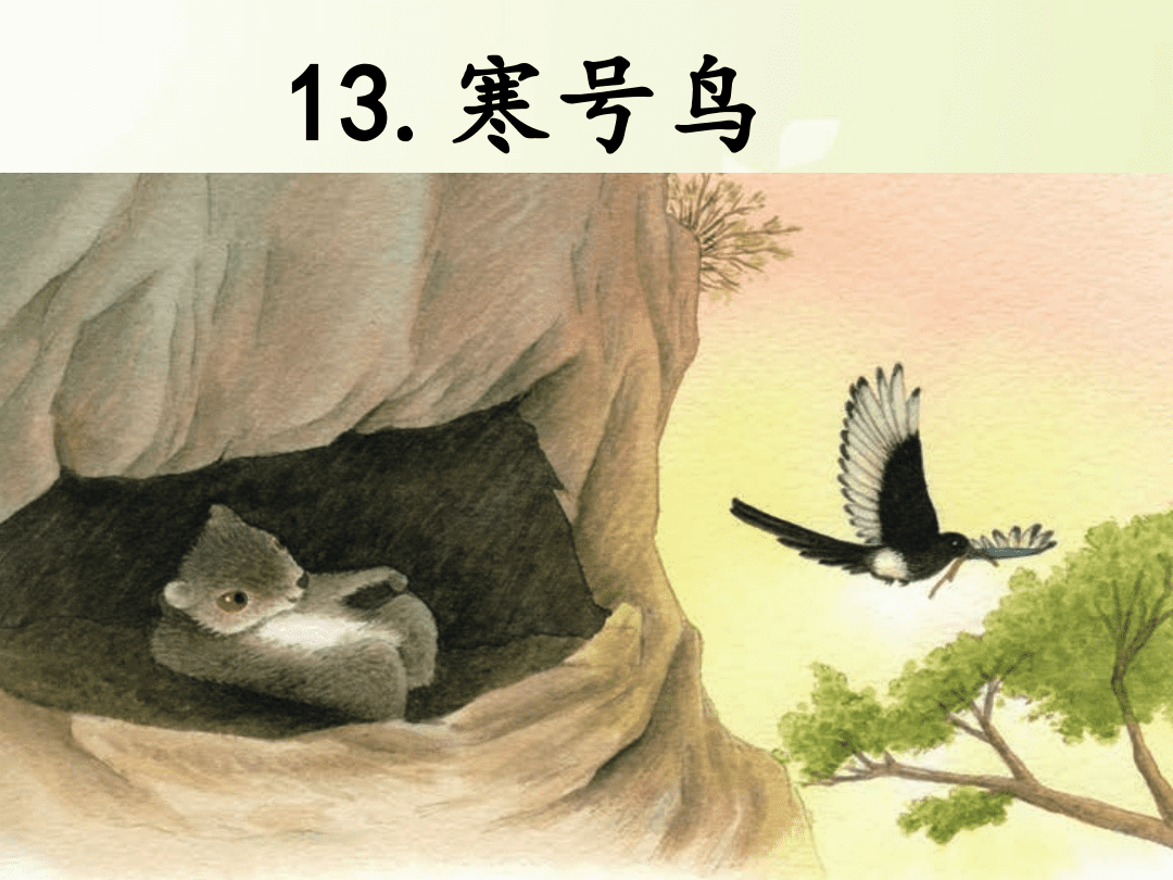 我们上小学时学过《寒号鸟》,可真实的寒号鸟却是这样子的!