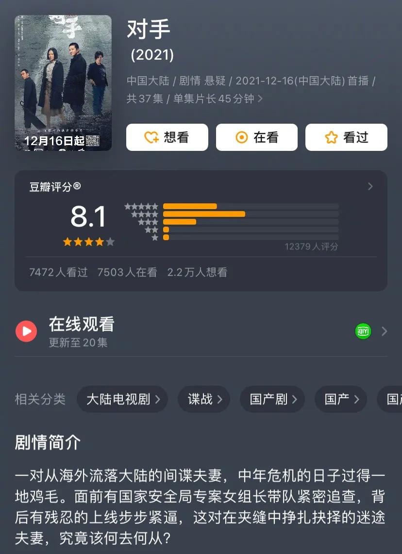 电视剧 对手 年末黑马 好评如潮 最磕的cp还是陈华和段迎九 间谍 国安 丁美兮