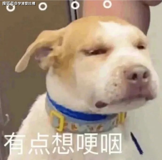 “这不是胸罩!老婆你听我解释…”哈哈哈差点被女儿坑死了!