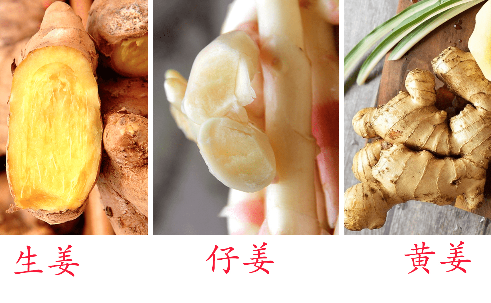 三伏吃姜,注意区分生姜,黄姜,子姜,差别很大,吃的时候要重视_仔姜