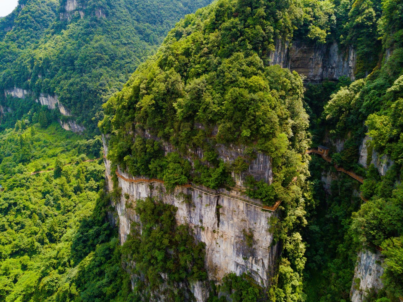超凉快的避暑圣地-贵州毕节油杉河景区_崔苏_星宿_方向