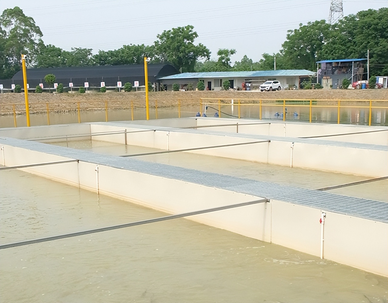 池塘流水循环水养殖 经济效益好 值得采用 水槽 传统 净化
