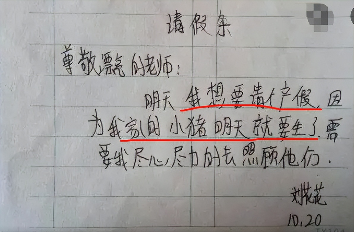 小学生请假条走红 用文言文描述原因 老师直言 甄嬛传看多了 家长 什么 小时