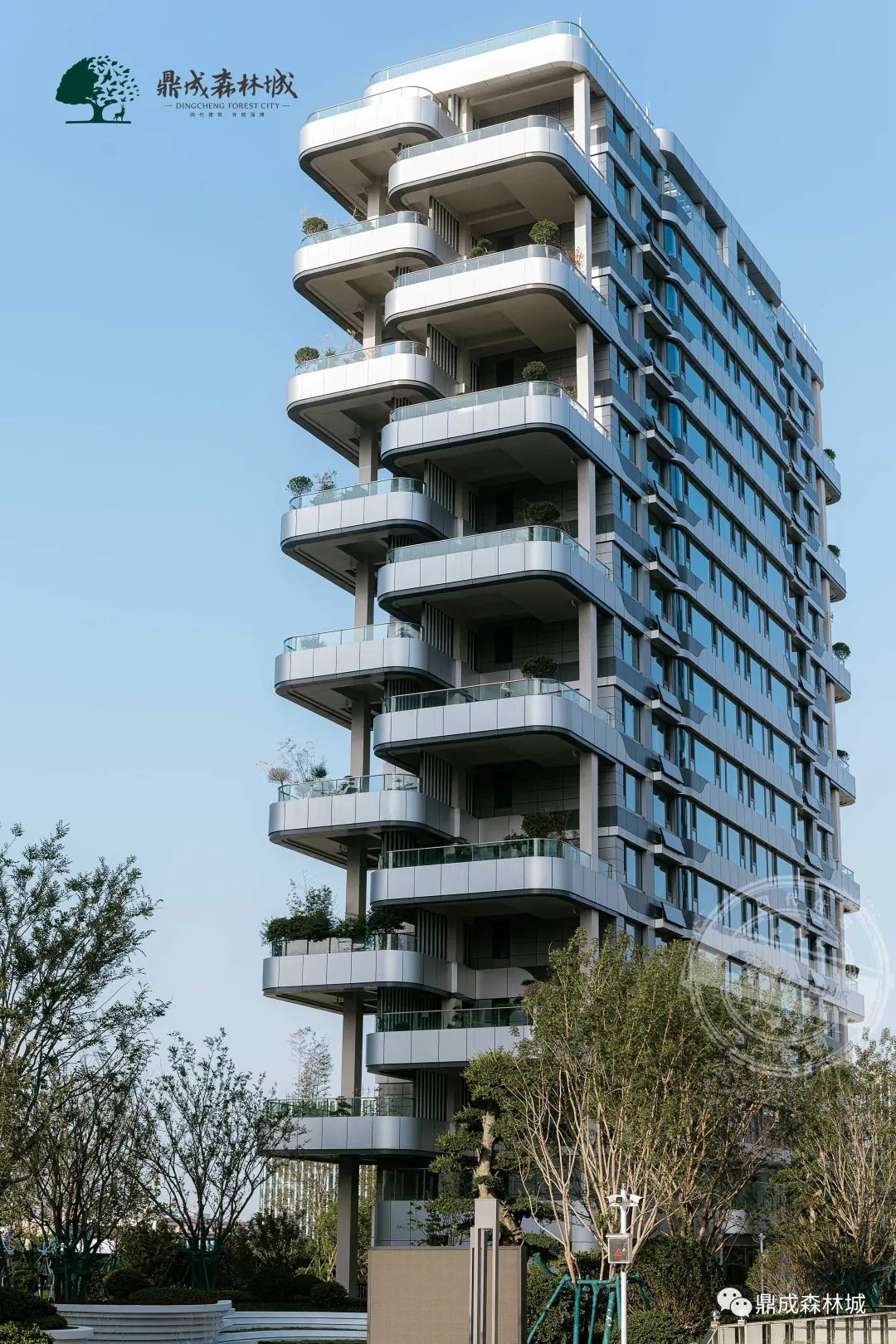 鼎成森林城丨二期180—370㎡央景楼座,新品加推!_生活_实景图_庭院