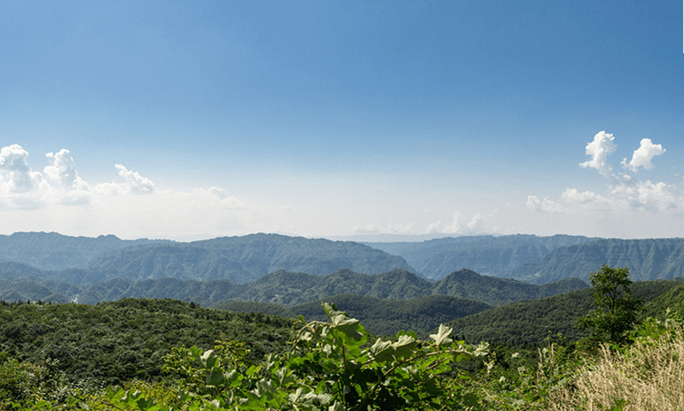石柱旅游大热门七曜山避暑房游客避暑生活图唱歌跳舞耍水太巴适了