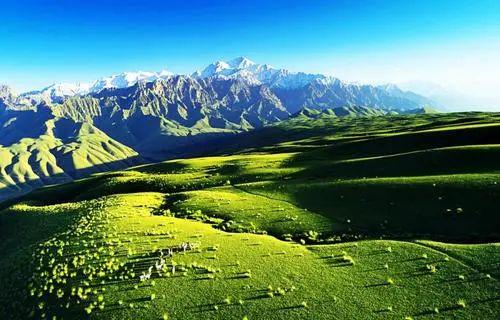 近2千万新疆和田生态环境局墨玉县分局采购39辆环卫车项目招标