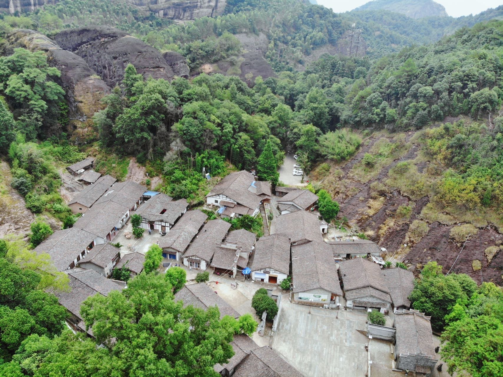 江西无蚊村，天师百年妙方竟让村落没有蚊子，村民都是天师后代