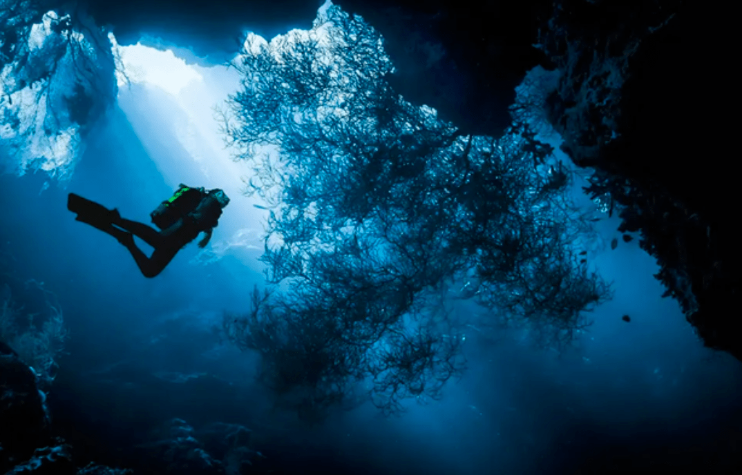 科学家宁可探索太空也不研究深海为什么深海究竟哪里恐怖了