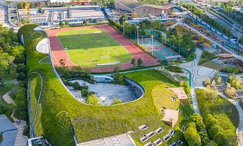 体育 含标准足球场的大型运动公园教育前海港湾学校前海时代幼儿园