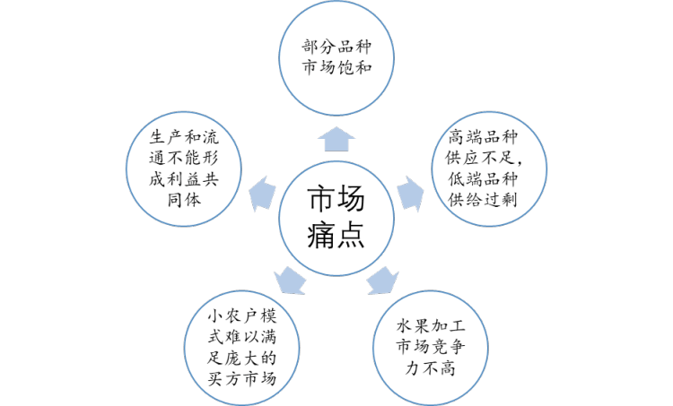 必博体育洞察2022：一文了解中国水果行业发展现状及趋势(附主要品种、重点产区等(图9)