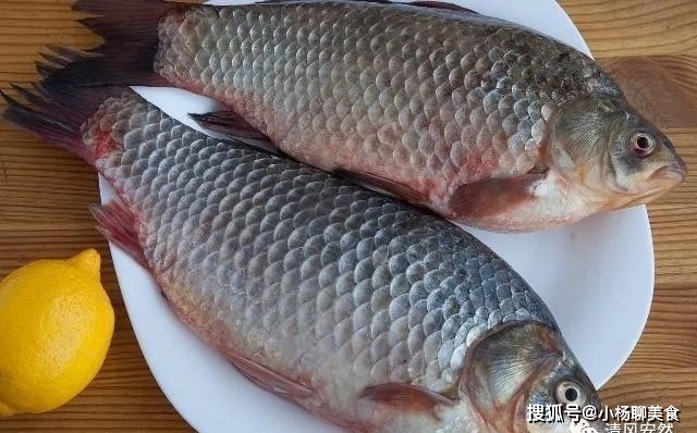 鲫鱼性寒还是热性？吃鲫鱼有什么好处？吃鲫鱼有4个禁忌！