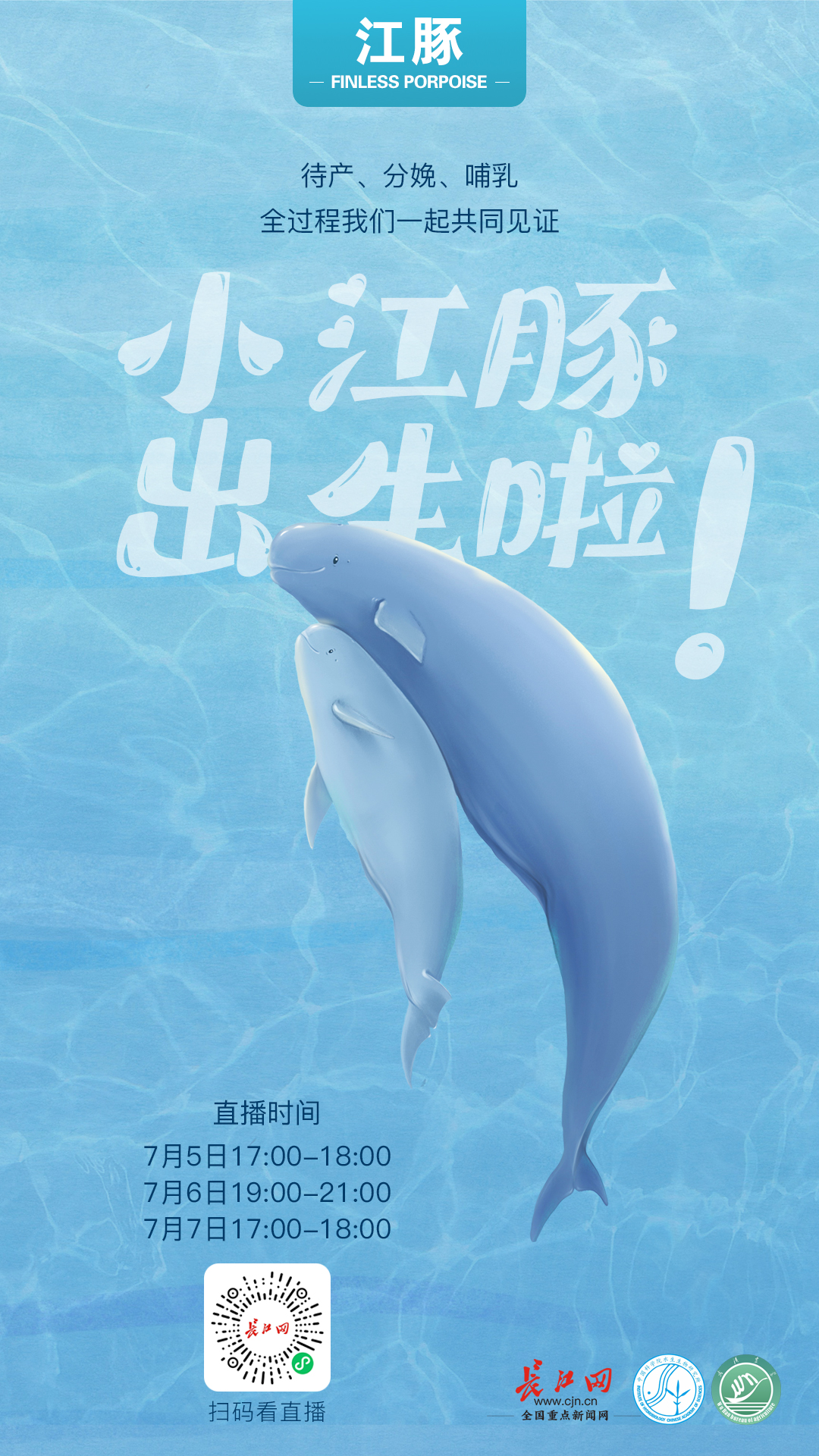 保护白鳍豚英文海报图片