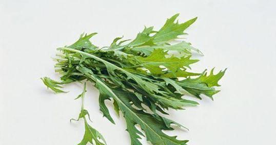 被称为火箭生菜的它,全身都可入药,降肺气,利肺水,还抗癌_芝麻菜_食用
