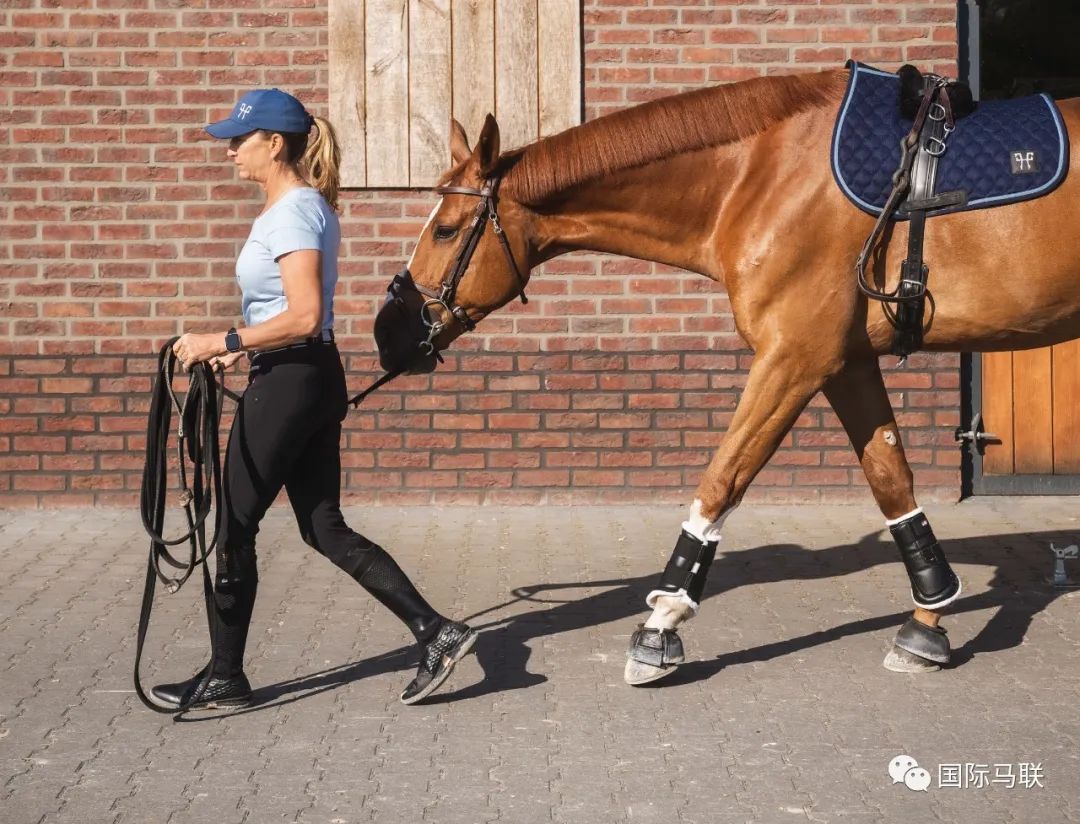 劳拉·克劳特:对我来说,骑马就像呼吸_比赛_训练_锦标赛