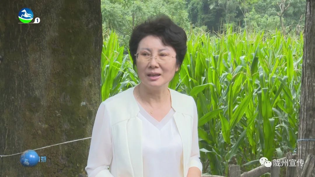 宝鸡陇县县长李维芳调研两闲试点工作