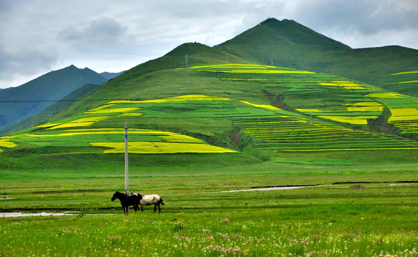 它被誉为是“小西藏”，风景美的让人心醉，颠覆你对大西北的认知