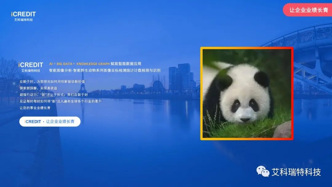 智能图像分析-智能头盔安全帽图像目标检测统计计数检测与识别-艾科瑞特科技