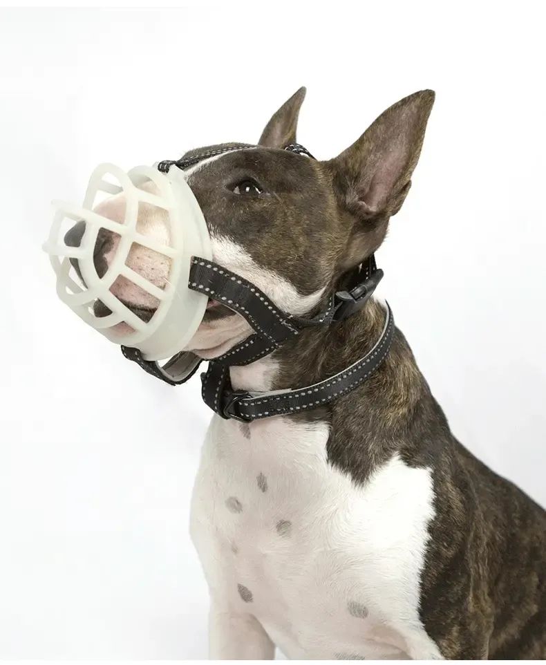 就是以后上街除了必须要拴狗绳以外,若不佩戴嘴套也将会面临罚款的