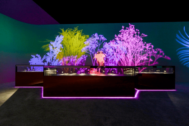 ����֮������Ϻ�������ű������Ʒ����չ����Խ���������