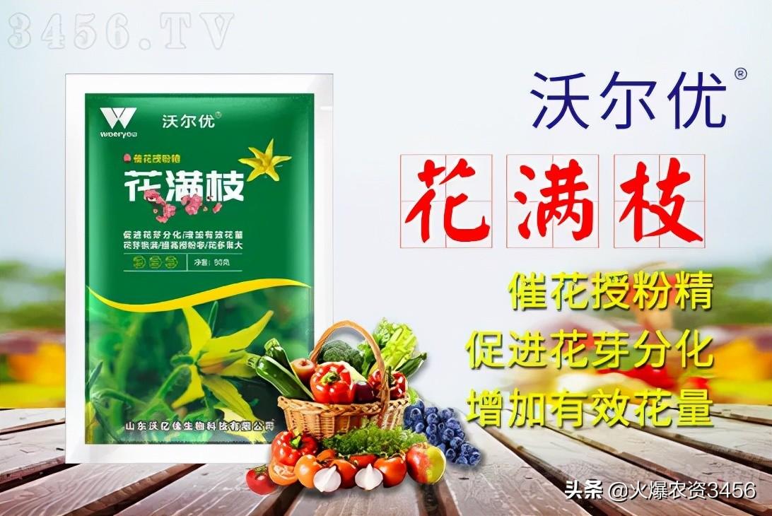 经济作物花芽期如何实现增产 增加有效花提高坐果率还能这样做 花满枝 产品 营养