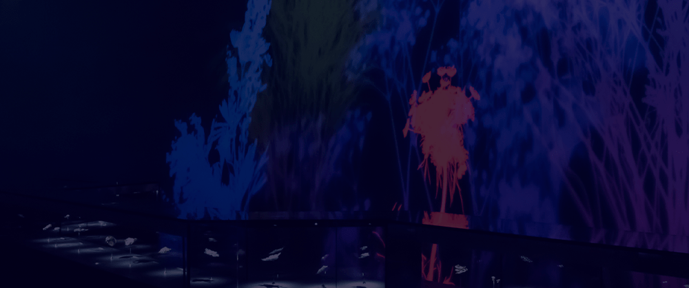 ����֮������Ϻ�������ű������Ʒ����չ����Խ���������