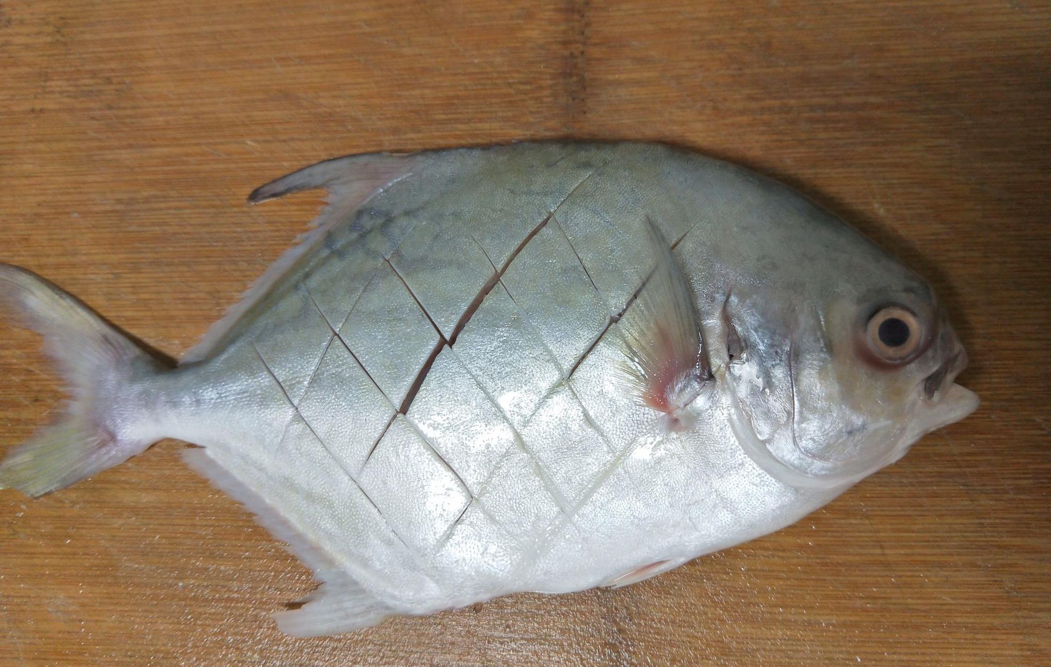 原創入夏這魚要常吃比骨頭有營養一斤17塊錢孩子常吃長得高