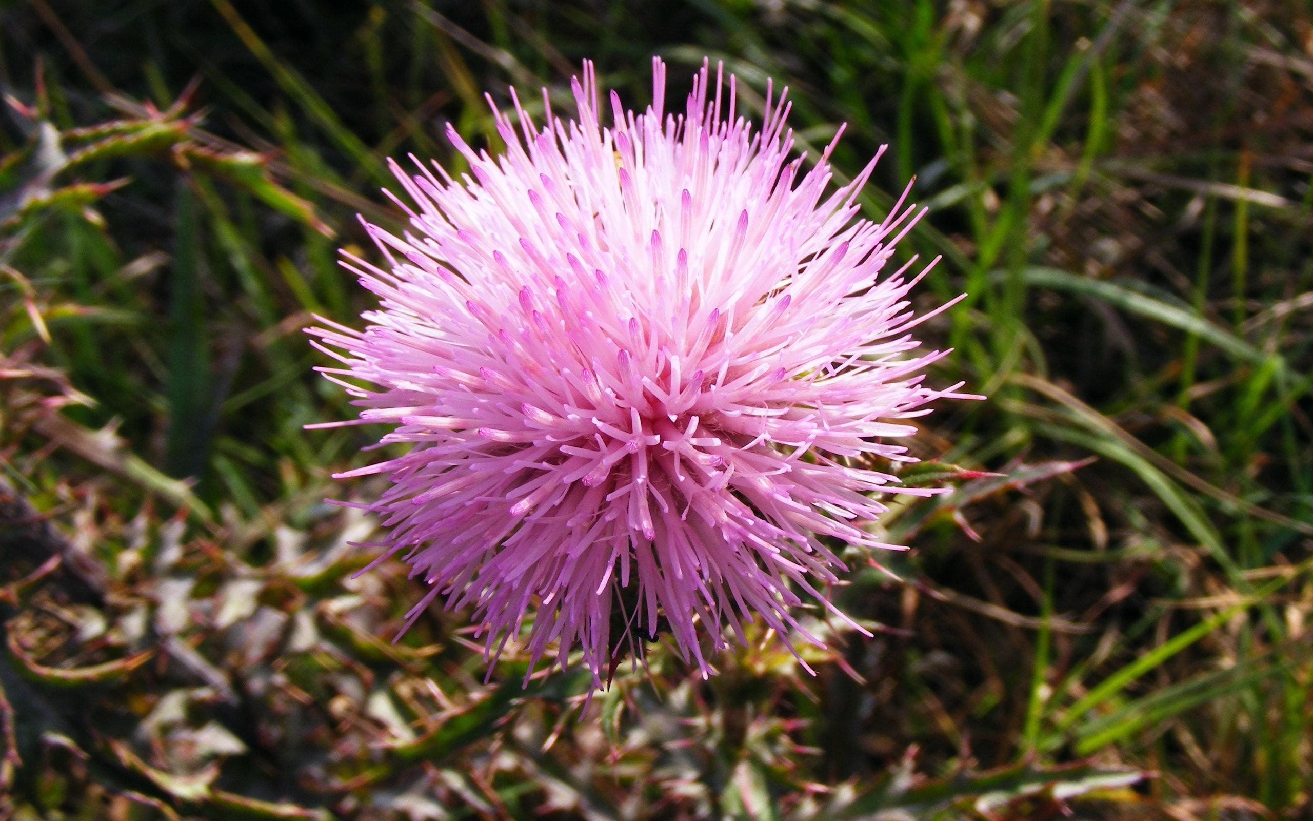 7月31日星座运势 贵人引路 意气风发的四大星座 感情 事业 主动