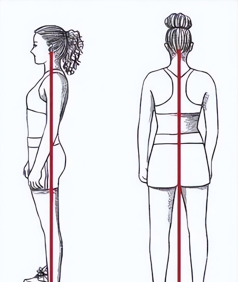 原创45岁袁泉斩获百花女主体态优雅如何养出好体态骨盆形态很重要