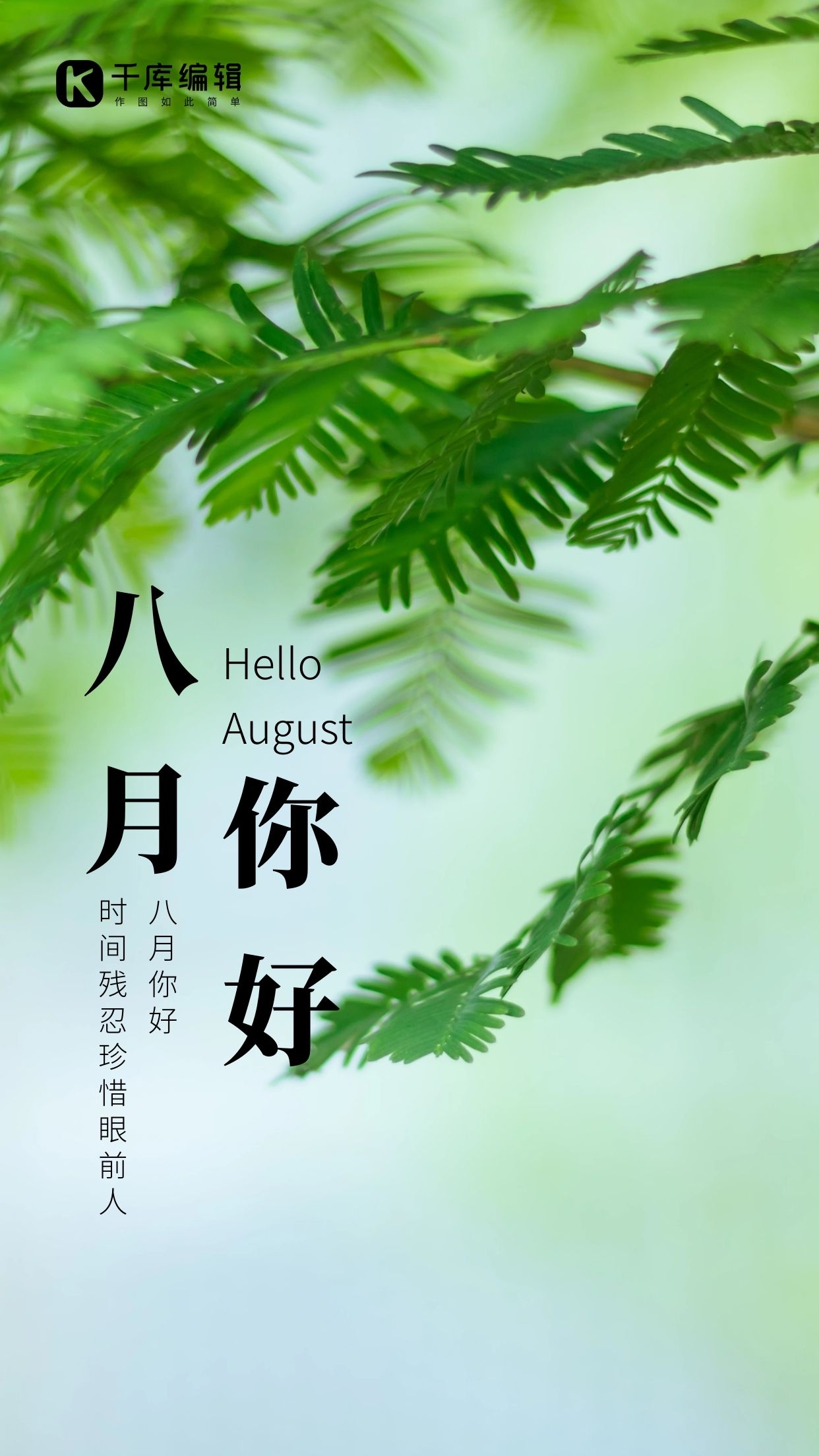 八月你好 夏日将尽