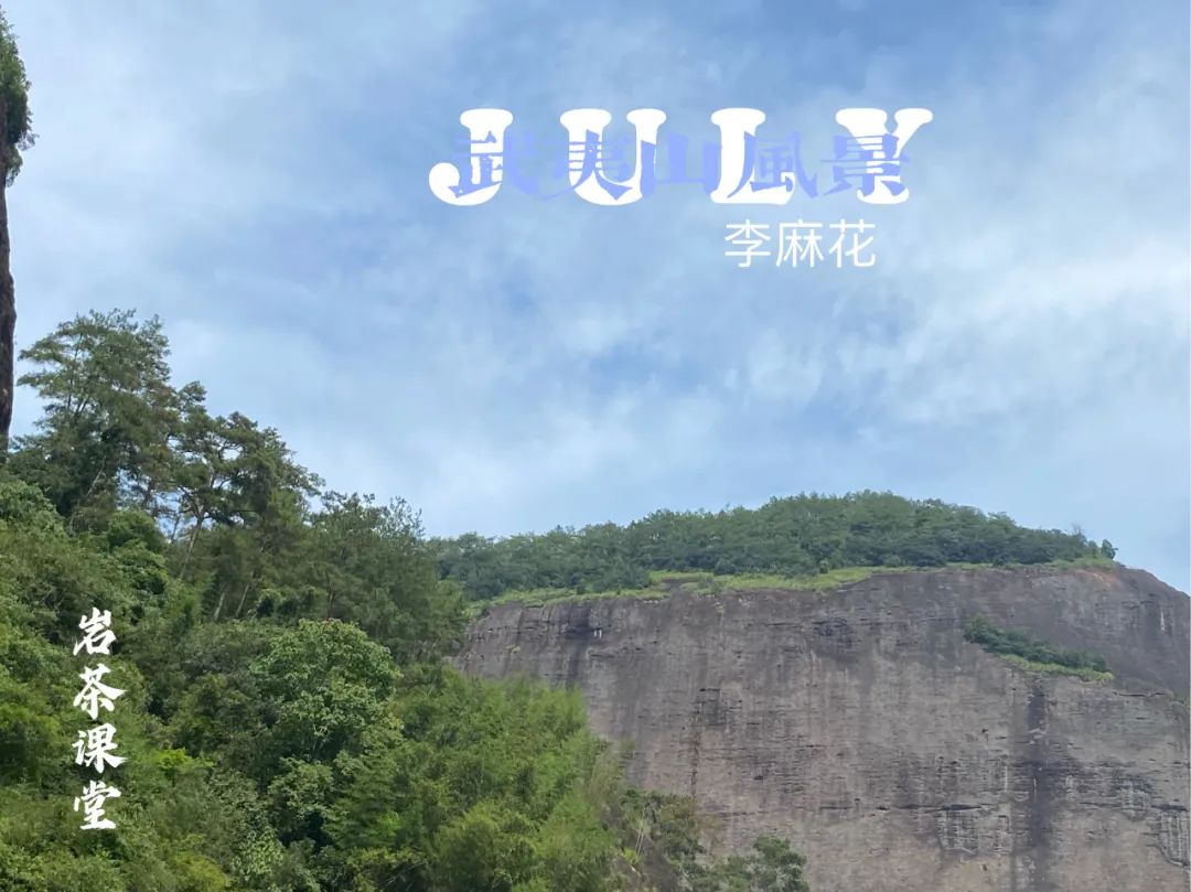 文章配图-10