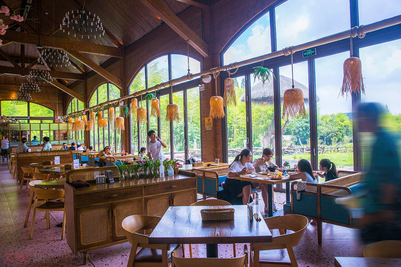 这是紧贴长颈鹿园的餐厅,靠近长颈鹿园这一侧为全透明落地玻璃,食客