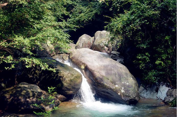 靖安宝藏后花园三爪仑白水洞绝妙避暑处