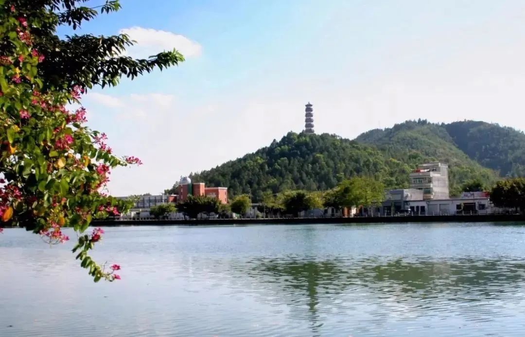 广谈网景点盛夏时节推荐惠州几个小众打卡地