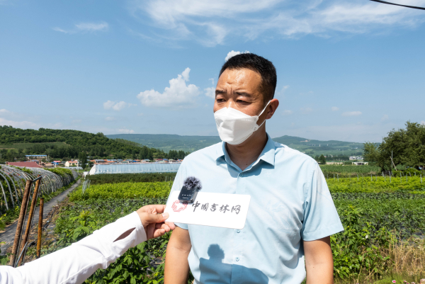 延吉市朝阳川镇平道村探索出一条种植无花果特色农业产业新路径_游客