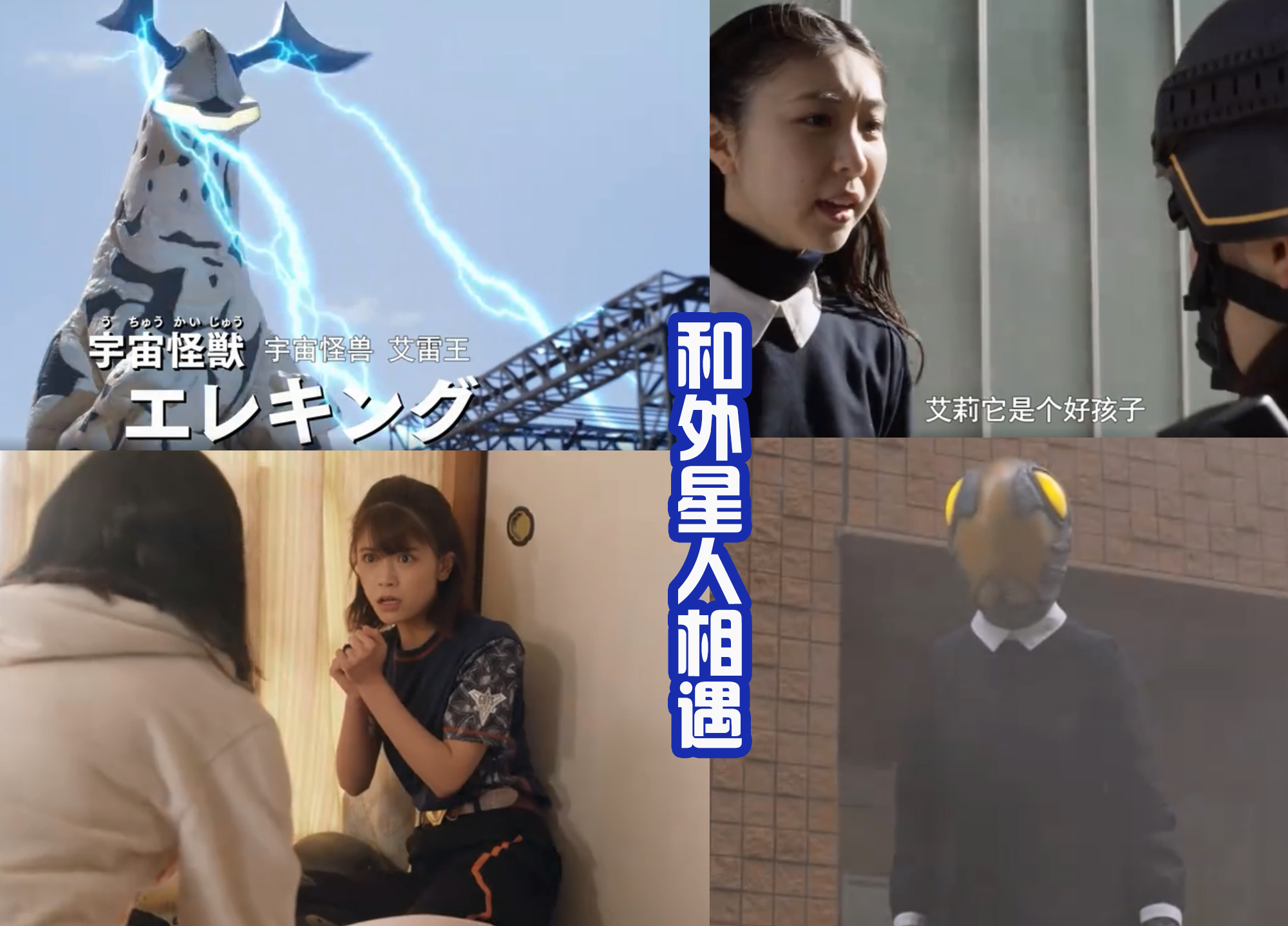 原创唯千夏看到艾雷王引发共鸣想起曾经养过的狗狗偷电池被发现