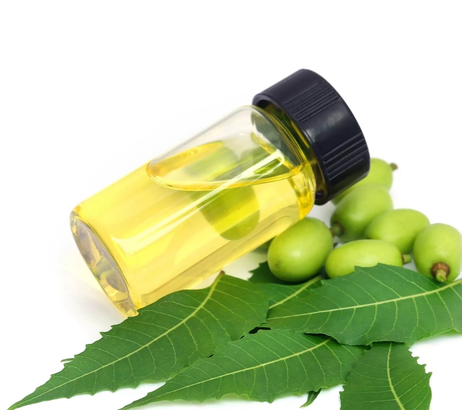 上面是苦楝油和印楝树的种子苦楝油(印楝油neem oil)和印楝素也是清除