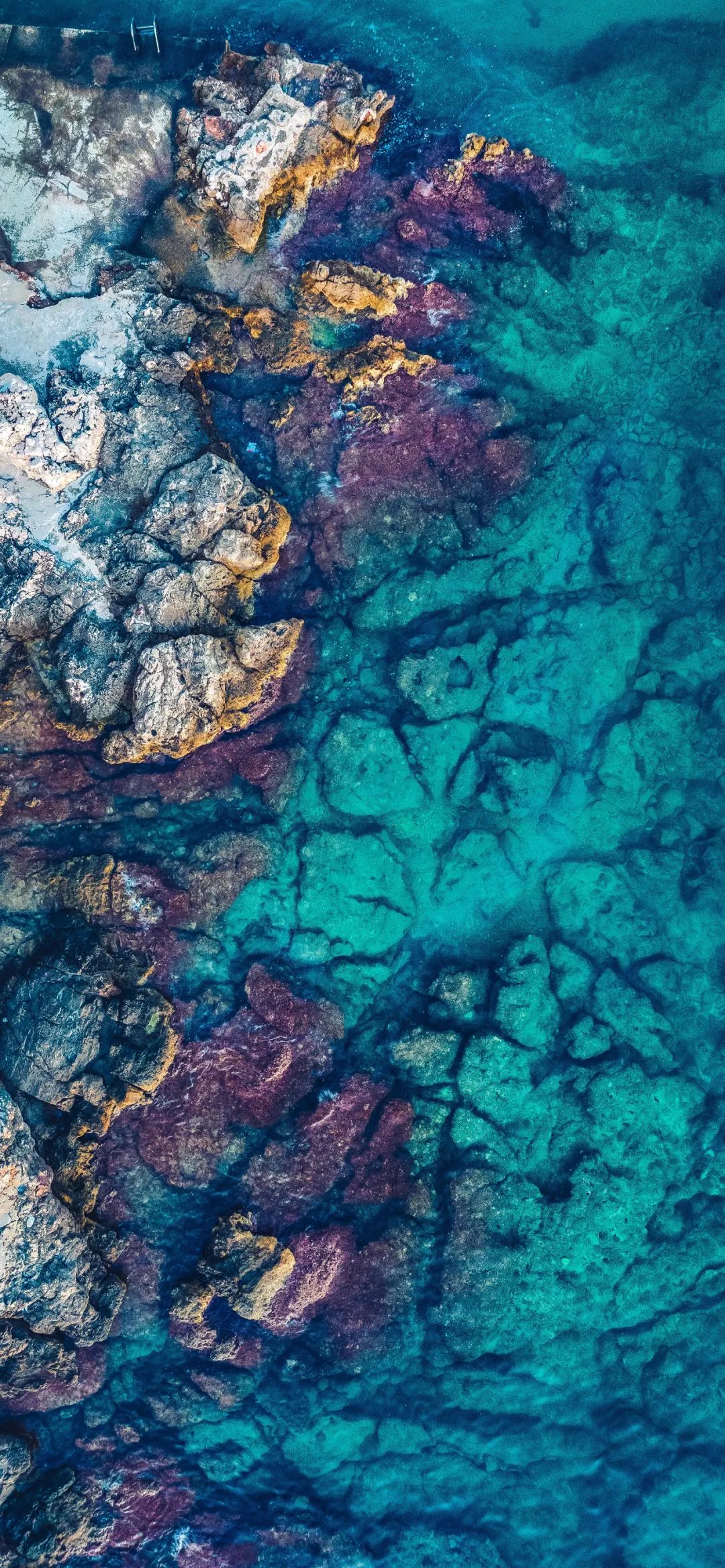 高清版全面屏壁纸丨超养眼!_头像_kipadd_超清