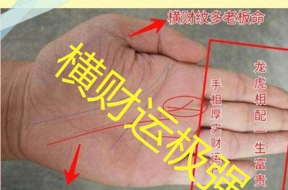 人生靠双手,双手看掌纹,有此掌纹想不富都难,对财总有意外之喜_福气